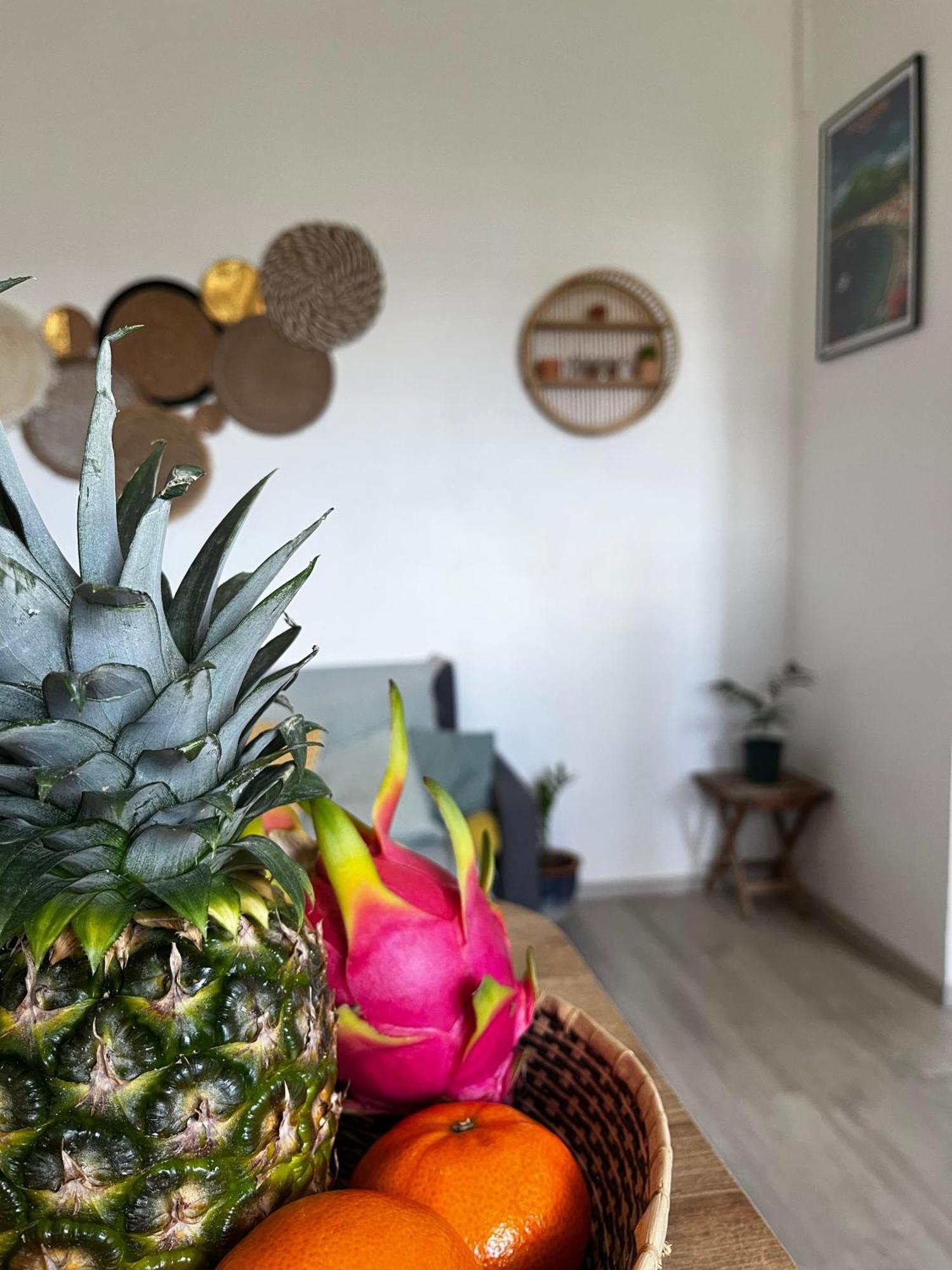 Cocon Des Alizes Apartment La Moise Bagian luar foto